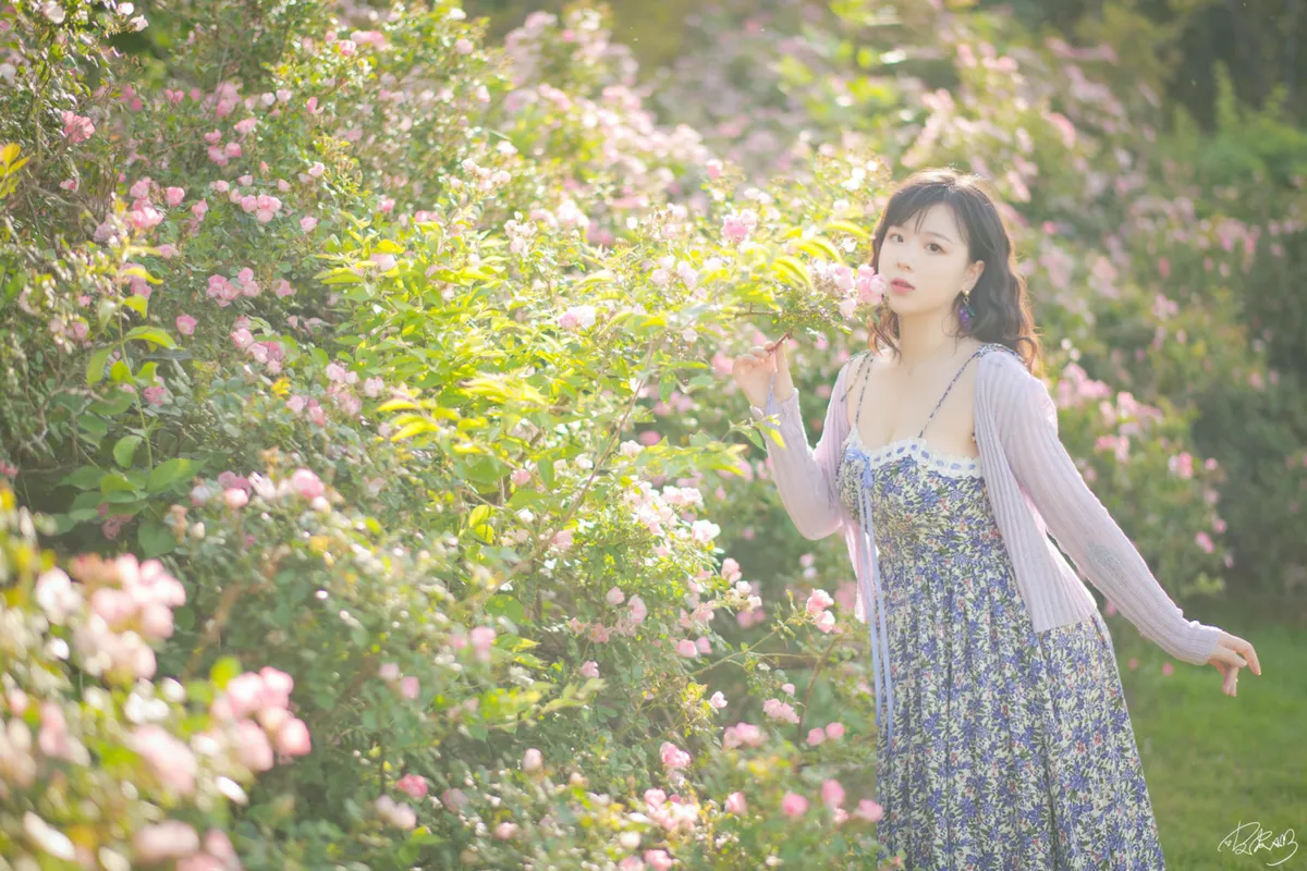 蔷薇花 - 皮皮奶可可爱了啦